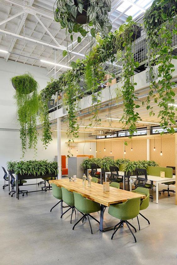 Top Architectural Design Trends 2024